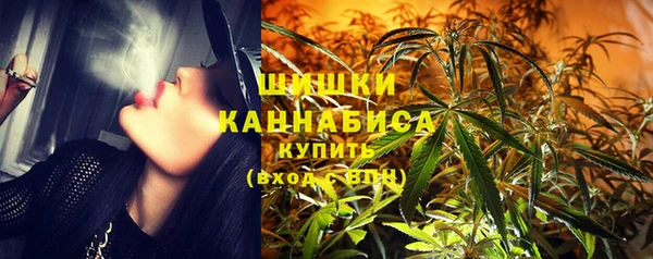 молекула духа Бронницы