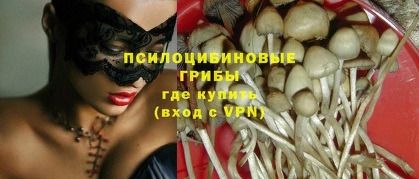 синтетический гашиш Верхний Тагил