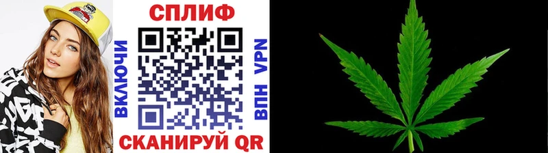 Марихуана конопля Гурьевск
